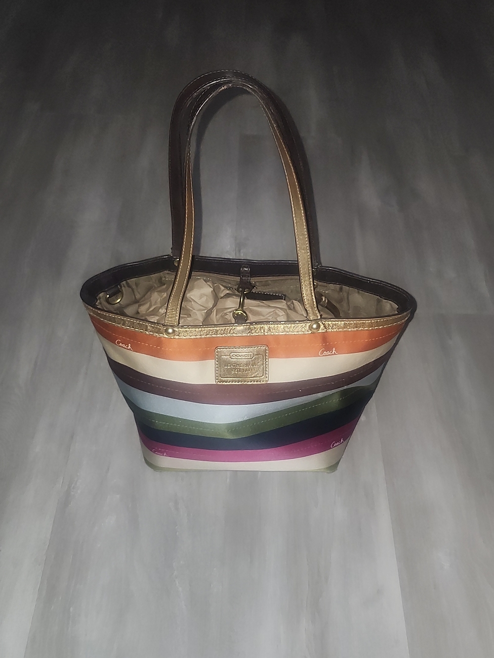 Coach Multicolor Striped Canvas Tote with Metallic Trim